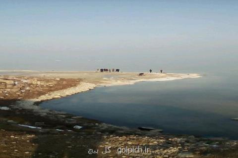۴۸۰ هكتار نهال كاری در اطراف دریاچه ارومیه