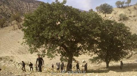 كاشت درخت، شناخت گیاهان و پشتیبانی از محیط بانان برای حفظ محیط زیست