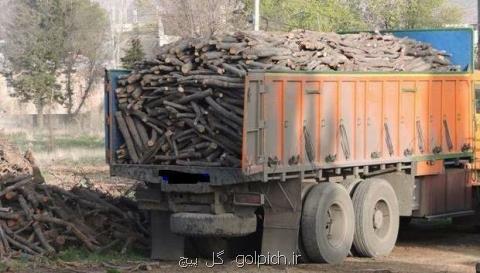افترا 6 زن به قاچاق چوب در مازندران