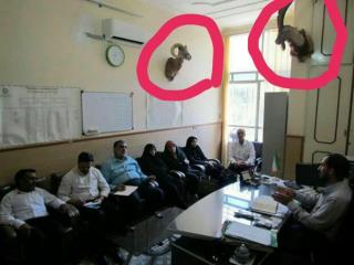 واكنش محیط زیست یزد به نصب سر ۲ حیوان باارزش در محیط زیست اردكان