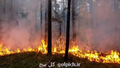 گسترش آتش سوزی های طبیعی در كالیفرنیا