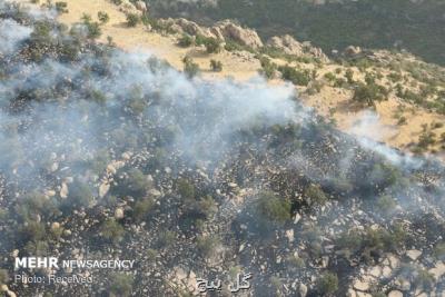 آتش سوزی ارتفاعات جنگلی كازرون و كهمره سرخی شیراز مهارشد