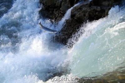 استفاده مسئولانه از منابع ژنتیك آبزی حیاتی می باشد