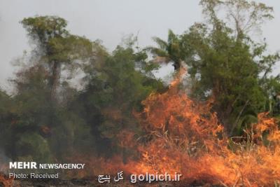 آتش سوزی مراتع در سالندكوه دزفول مهار گشت