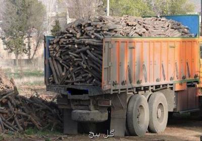 چوب بری های غیرمجاز از سطح خرم دره جمع آوری می شود