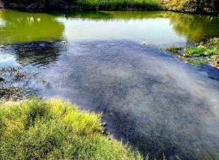 كارخانه ها عامل فاجعه زیست محیطی قره سو