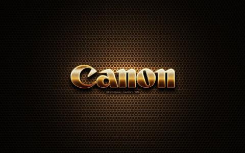 نمایندگی تخصصی تعمیرات پرینترهای كانن