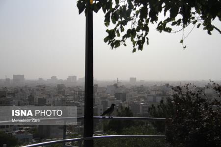 بارش برف و باران در سواحل خزر