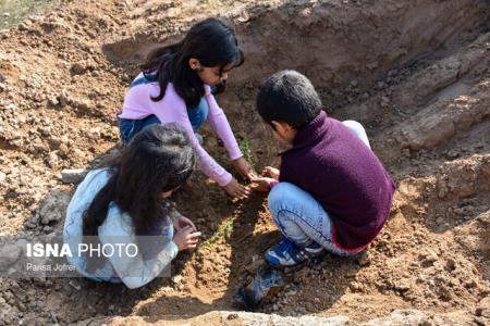 با كاشت درخت بیشتر، كشور را در مقابل سیل واكسینه نماییم