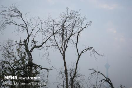 سامانه بارشی جدیدی وارد كشور می شود