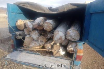 ۴ خودرو نیسان حاوی چوب قاچاق در شاهرود متوقف گردید