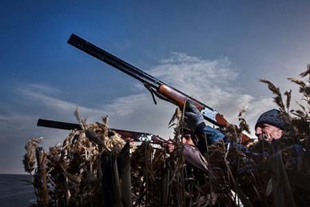 تروریسم محیط زیستی در میانكاله