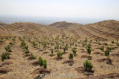 اجرای عملیات آبخیزداری در سطح ۴ و چهار دهم میلیون هكتار از اراضی كشور