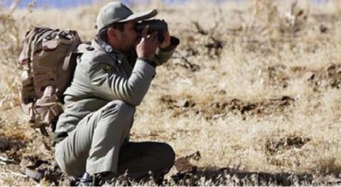 استخدام 300 محیط بان در سال 99