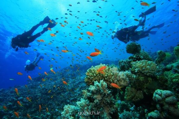 ورود آلاینده ها به خلیج فارس از مواد شیمیایی تا كرم های ضدآفتاب