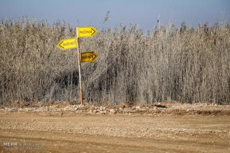 عدم تامین حقابه باز هم حیات تالاب هورالعظیم را به خطر انداخت