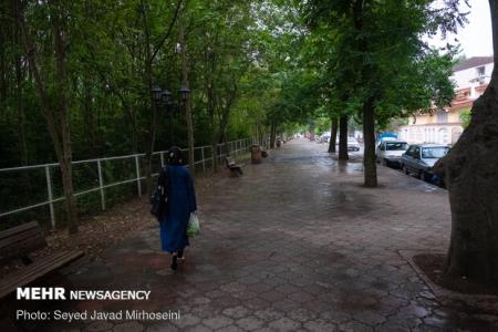 هوای شمال خنك می شود