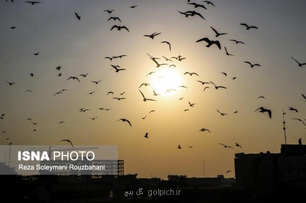 ایران در مرداد ماه 1 و نیم درجه گرمتر از همیشه بود