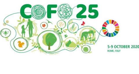 مبحث تغییر اقلیم در دستور كار نشست بین المللی كمیته جنگل داری فائو