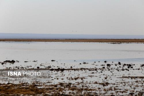 گرمایش زمین مشكل شماره یك محیط زیست است