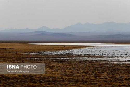 تالاب گاوخونی در حال احتضار