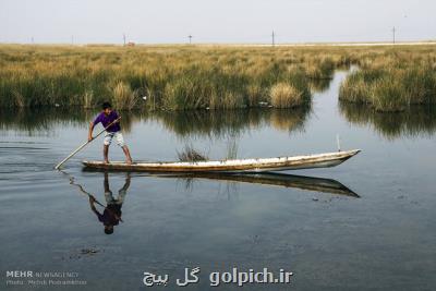 شرایط زیست پرندگان در تالاب شادگان بهبود می یابد